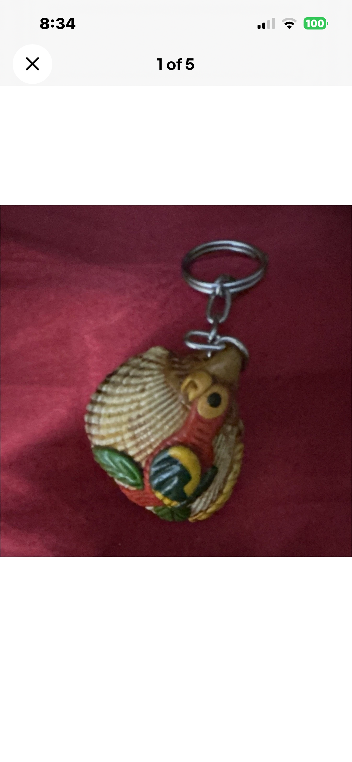 Seashell Keychain Keyring, Plastic Animal Theme, Brown/Red/Green, Modern