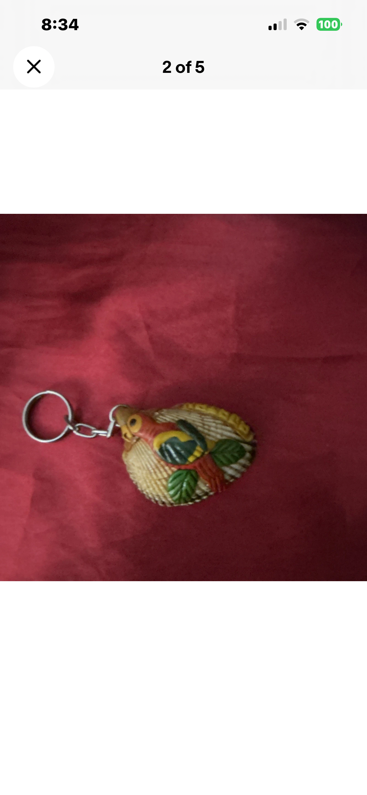 Seashell Keychain Keyring, Plastic Animal Theme, Brown/Red/Green, Modern