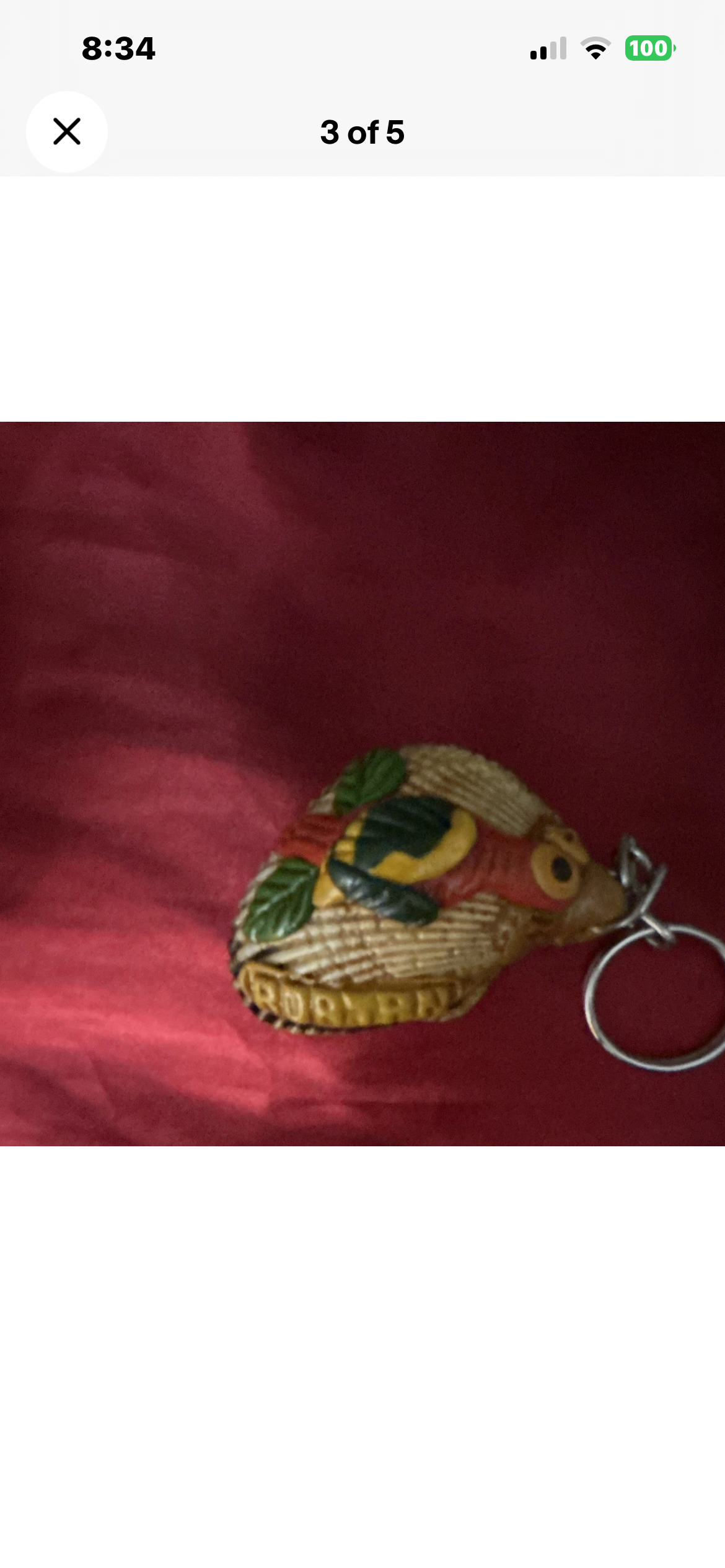 Seashell Keychain Keyring, Plastic Animal Theme, Brown/Red/Green, Modern