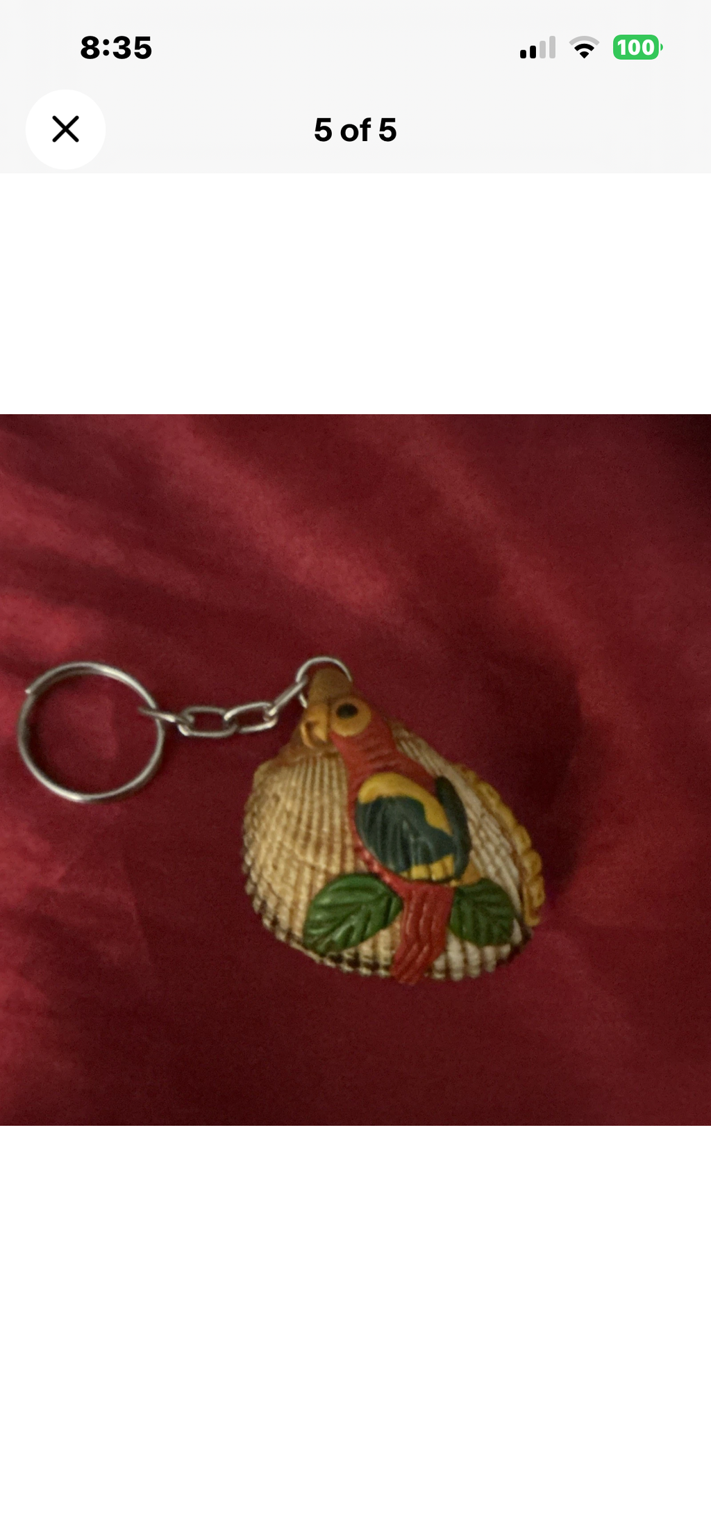 Seashell Keychain Keyring, Plastic Animal Theme, Brown/Red/Green, Modern