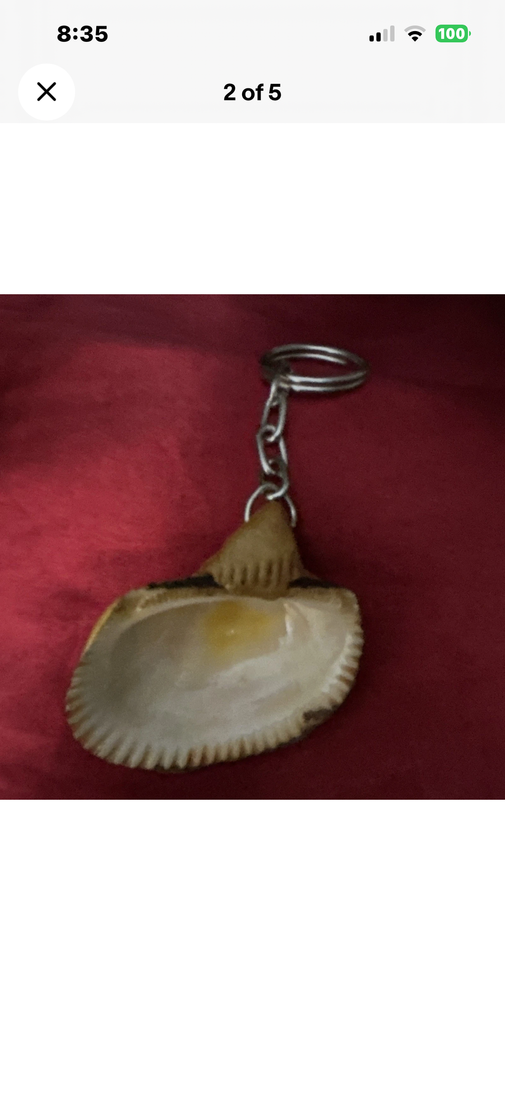 Lobster Shell Keychain Keyring, Animal Theme, Brown & Red,
Modern