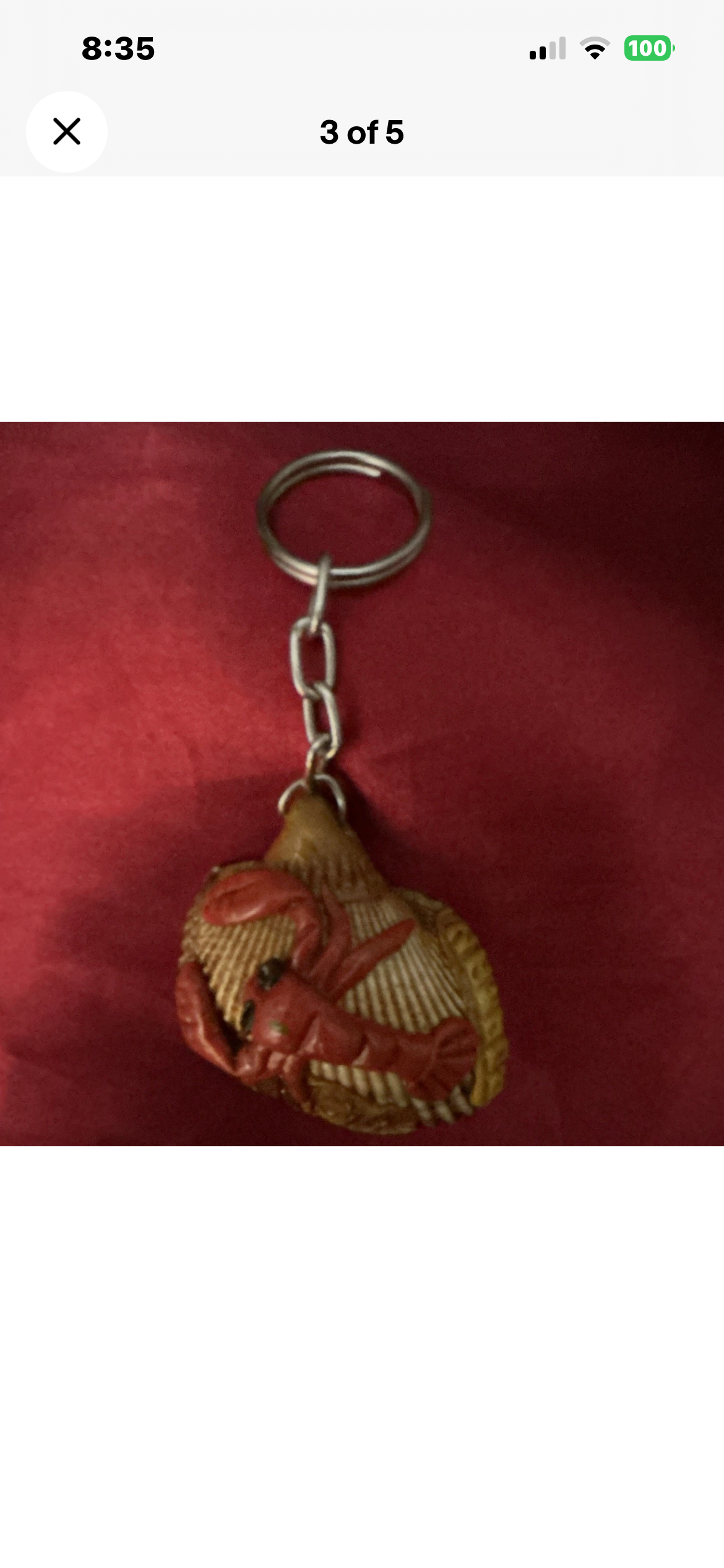 Lobster Shell Keychain Keyring, Animal Theme, Brown & Red,
Modern